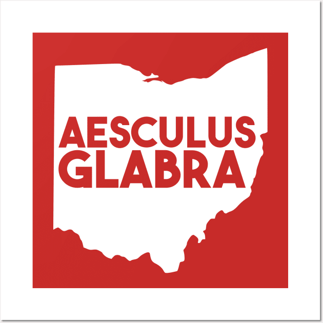 Ohio - Aesculus Glabra Wall Art by fortheloveofmaps